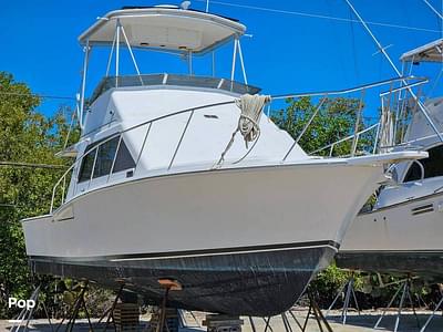 BOATZON | Cabo Yachts 35 Flybridge