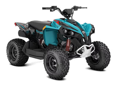 BOATZON | Can-Am® ATV REN 2X4 1104ST GN CALI 24 2024