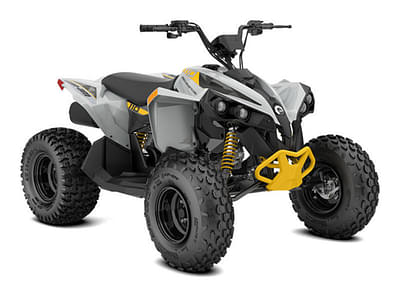 BOATZON | Can-Am® ATV REN 2X4 1104ST GY CALI 24 2024