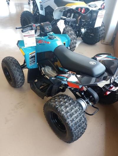 BOATZON | Can-Am® Renegade 110 EFI 2024