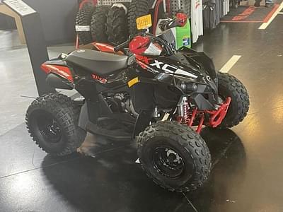 BOATZON | Can-Am® RENEGADE DS 250 2024