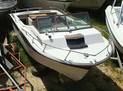 BOATZON | Cruisers, inc 206 IO cuddy 1978