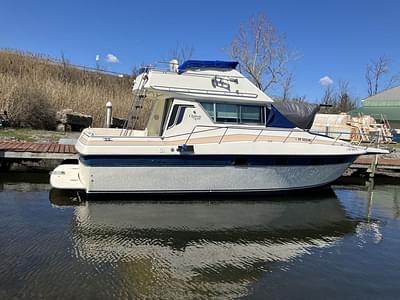 BOATZON | Cruisers Yachts 338 Chateau Vee 1985