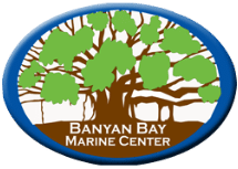 profile-logo