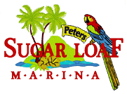 profile-logo