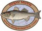 profile-logo