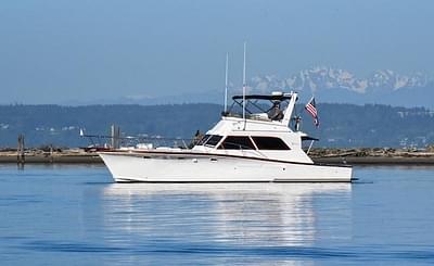 BOATZON | Egg Harbor Golden Egg Sport Fisher 1978