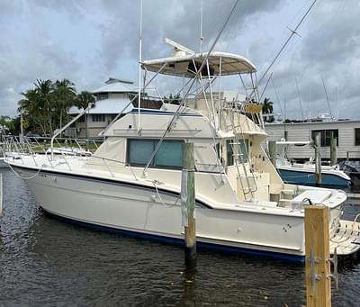 BOATZON | Hatteras Convertible 1981