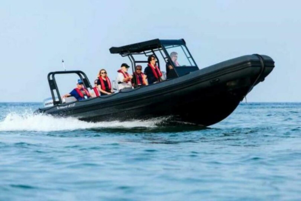 Highfield Patrol 860 2024