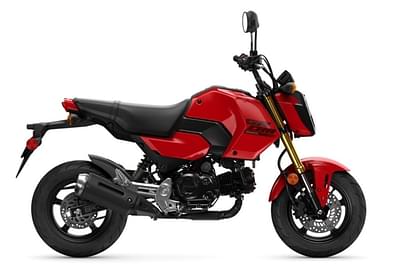 BOATZON | Honda® Grom Base 2025