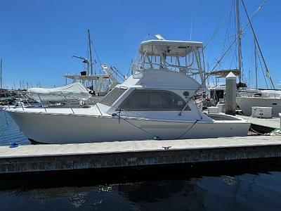 BOATZON | Jersey 36 Convertible Sportfisherman 1987