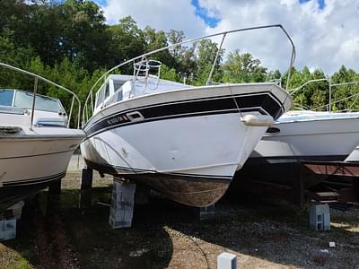 BOATZON | Marinette 32 Express Flybridge 1977