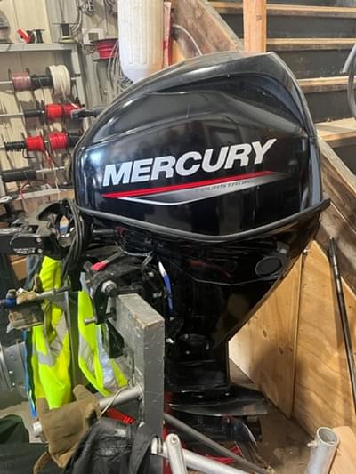 BOATZON | Mercury Marine® FourStroke 25 EFI 2022