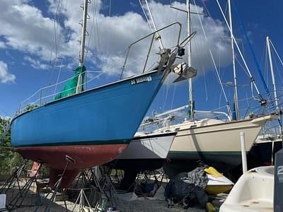 BOATZON | Morgan 382 1978 BOATZON | Morgan 382 1978