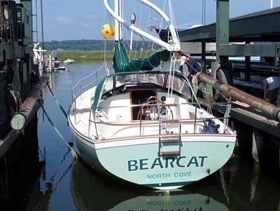 BOATZON | Bear Cat