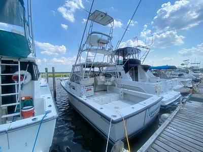 BOATZON | Rampage 31 Sportfish 1988