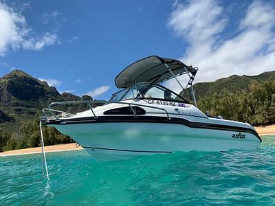 BOATZON | 2021 Reflex Chianti 485