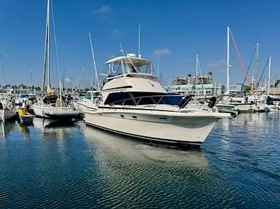 BOATZON | Riviera 33 Open Flybridge 1996