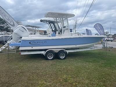 BOATZON | Robalo 246 Cayman 2024