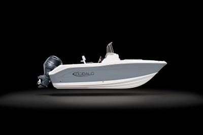 BOATZON | Robalo R180 2025