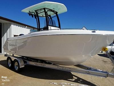 BOATZON | Robalo R222