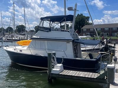 BOATZON | Sabre 34 flybridge 1996