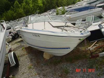 BOATZON | Sea Ray 200SC Cuddy Cabin Mercruiser 233 1976