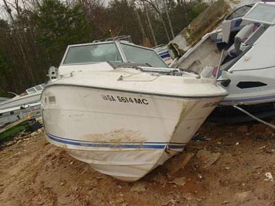 BOATZON | Sea Ray 240 SRV Weekender OMC Cut 1978