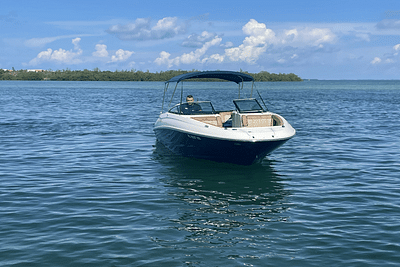 BOATZON | Sea Ray 240 SUNDECK OUTBOARD 2015