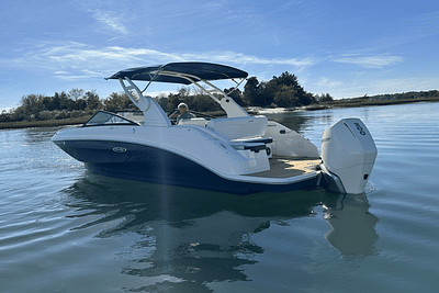 BOATZON | Sea Ray 250 SDX OUTBOARD 2019