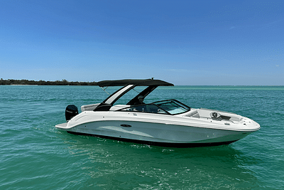 BOATZON | Sea Ray 250 SDX OUTBOARD 2024