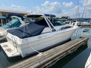 BOATZON | Sea Ray 300 Sundancer 1989