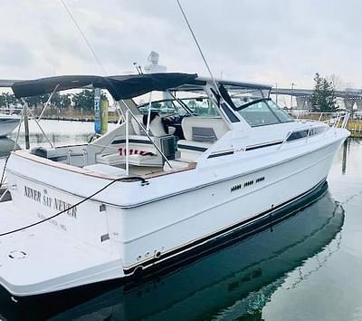 BOATZON | Sea Ray 39 1989