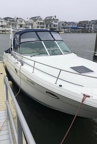 BOATZON | Sea Ray Amberjack 2005