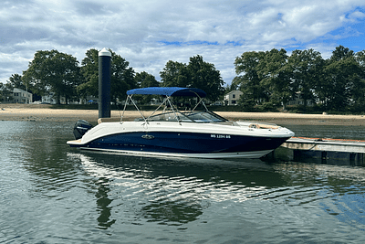 BOATZON | Sea Ray SDX 250 Outboard 2020