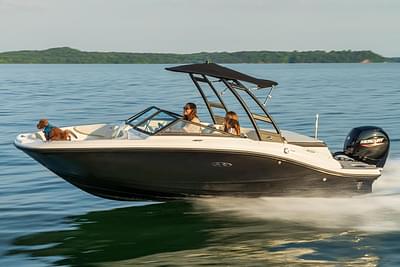 BOATZON | Sea Ray SPX 190 OB 2025