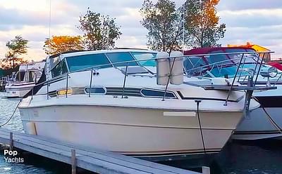 BOATZON | Sea Ray SRV 360 Express Cruiser