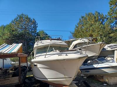 BOATZON | SeaRay 240 Fly Bridge Mercruiser v 8 1978