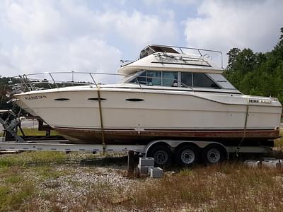 BOATZON | Searay 36 1984