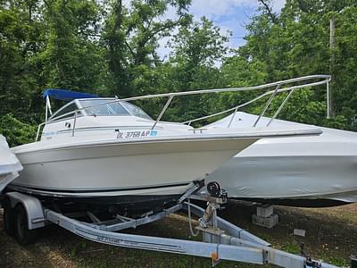 BOATZON | SEARAY LAGUNA 21 WALK AROUND 1994