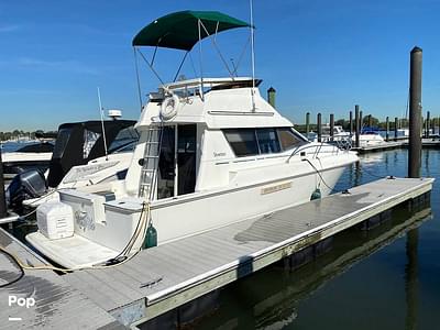 BOATZON | Silverton 312 Convertible