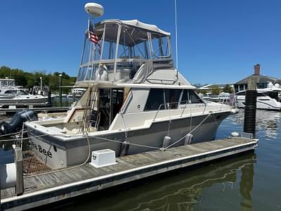 BOATZON | Silverton 34 Convertible 1985