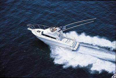 BOATZON | Skipjack 262 Flying Bridge 2002