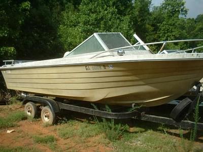 BOATZON | Wellcraft 19 Closed Bow Runabout Mercruiser 165 1970