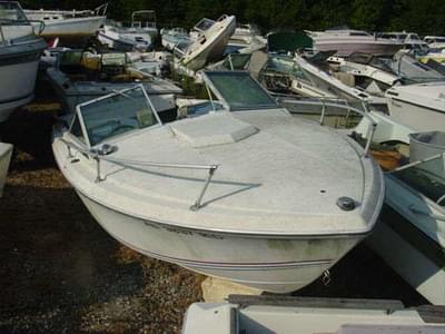 BOATZON | Wellcraft 20 Sun Hatch Cuddy Mercruiser Cut 1976