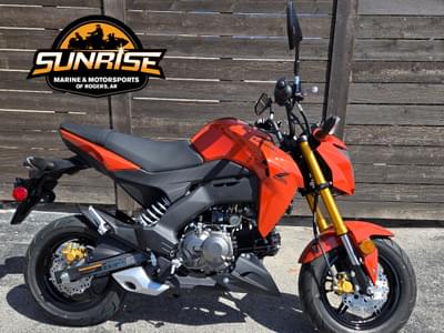 BOATZON | 2025 Kawasaki Z125 PRO