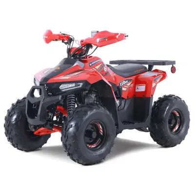 BOATZON | 2026 DENAGO MUDHAWK 6
