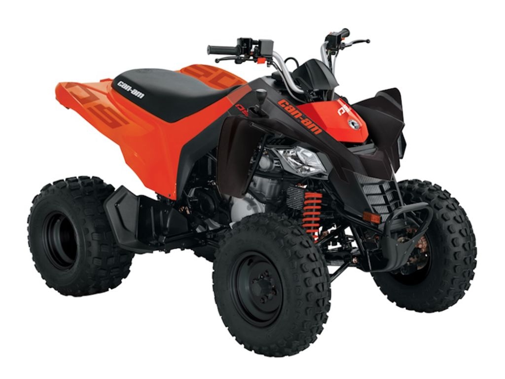 2026 Can-Am® DS 250 - Sold Boat