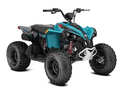 BOATZON | Can-Am® Renegade 110 EFI 2026