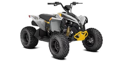 BOATZON | CanAm Renegade 110 EFI 2026